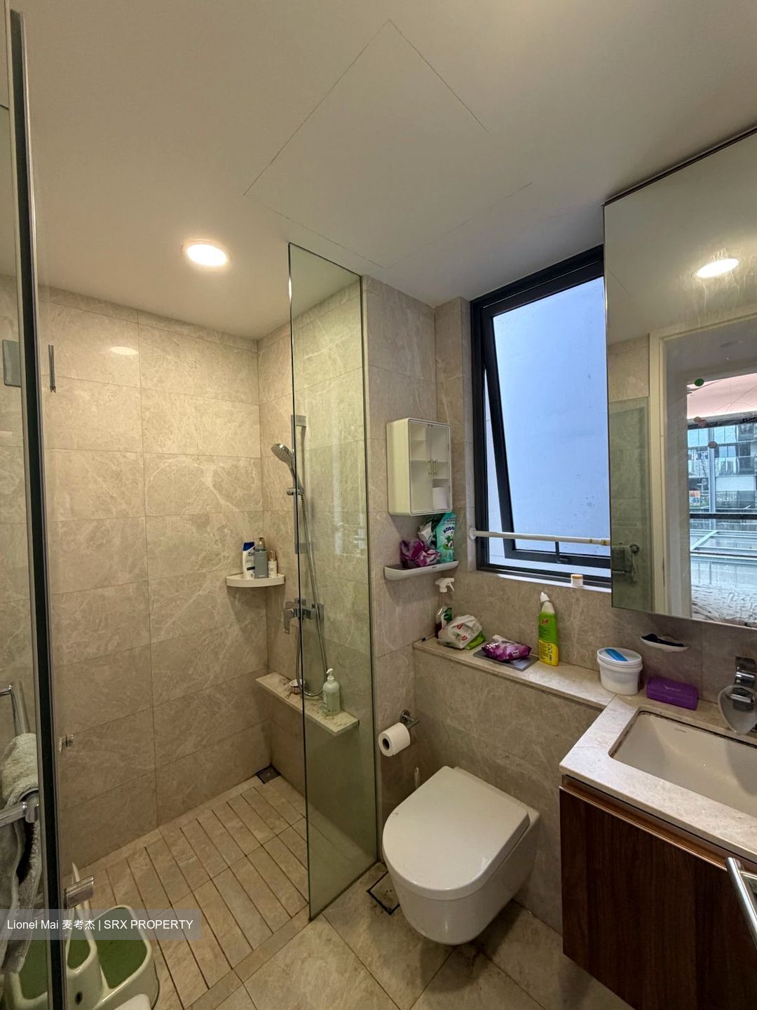 JadeScape (D20), Condominium #559472091